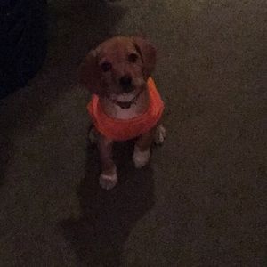 Meet your Posher, Austin